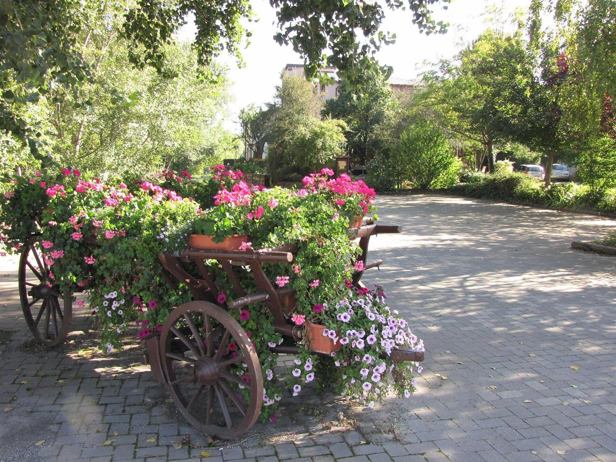 Hotel Le Caballin Vogelgrun Экстерьер фото