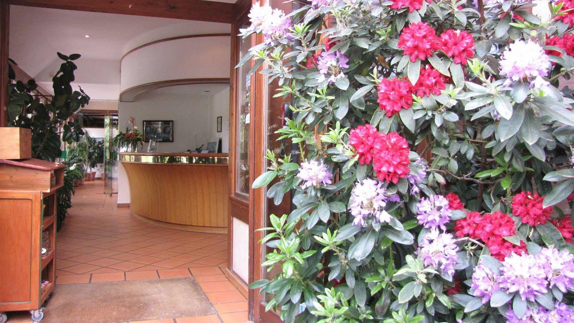 Hotel Le Caballin Vogelgrun Экстерьер фото